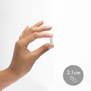 Probióticos de marca privada de alta calidad que promueven la digestión, apoyan la salud intestinal y el sistema inmunológico en cápsulas. - Product Image 4