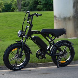 In Het Hoogseizoen Electrically Bike V20 Electric Bicycles 48V Fat Tyres Bike <b>1000W</b> Fatbike Tire <b>Ebik</b> 250W Electric Hybrid Bike - Product Image 2