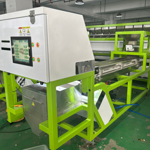 Belt Sorter <strong>Machine</strong> To <strong>Sort</strong> Unpeeled <strong>Garlic</strong> And <strong>Sorting</strong> Unpeeled Black Spots <strong>Garlic</strong> In <strong>Garlic</strong> Cleaning And Processing Line - Product Image 2
