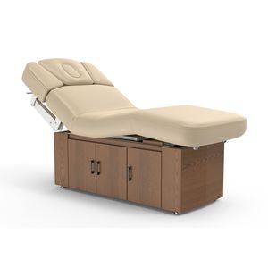 <span class=keywords><strong>Alexander</strong></span>-B Precio directo de fábrica Salón de belleza Peluquería Equipo de tatuaje Spa Facial Mesas de masaje eléctricas Camas - Product Image 4