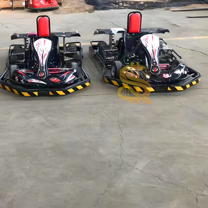 Karting innovant avec <span class=keywords><strong>prix</strong></span> direct usine, largement utilisé dans les projets d'équipements de parcs à thème - Product Image 4
