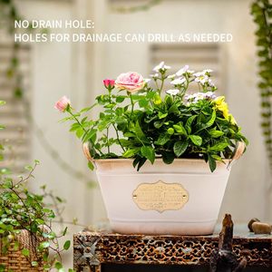 <b>Small</b> Vintage Style Metal Planter Indoor/Outdoor Iron Flower <b>Pot</b> with Handles for Home Garden or Decorative Metal Bucket - Product Image 5