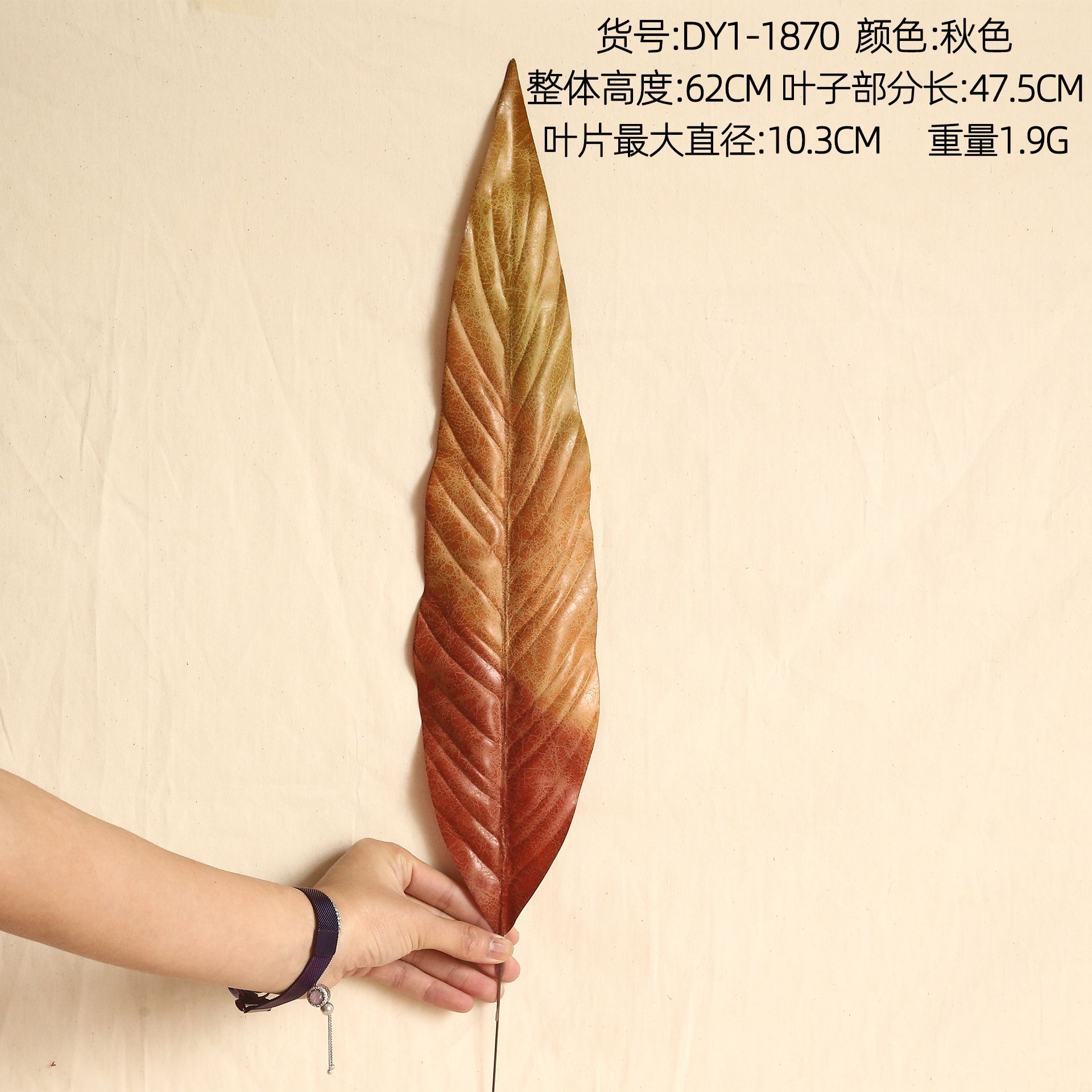 DY1-1870 Couleurs d'automne