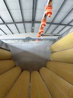 Industriële Cassave Was- en Schilmachine Wortelgroente Reiniger Aardappel Taro Verwerkingsmachine RVS voor Voedingsmiddelenfabriek
