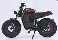 Moto électrique tout-terrain E Dirt Bike 500W 48V 21Ah 50km/h avec pneus larges 20x5 pouces, frein à disque hydraulique, E-Bike Pro