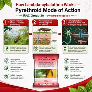 Lambda-cyhalothrin 10% WP Insetticida Piretroide ad Azione Rapida a Largo Spettro <span class=keywords><strong>per</strong></span> Afidi, Bruconi e Tripidi del Cavolo - Product Image 3