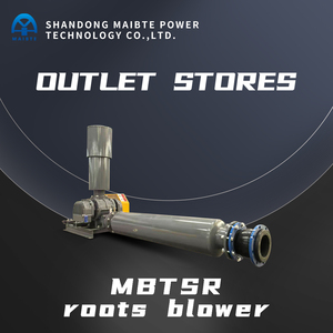 Elektrische Hogedruk Industriële Wortels Blower & Vacuümpomp Voor Aquacultuur Vis & Garnalenvijver Kweek Beluchting - Product Image 2