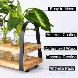 Wooden hydroponic container <b>shelf</b> with transparent glass test tubes and bottles, <b>desktop</b> hydroponic plant container, decorative - Product Image 5