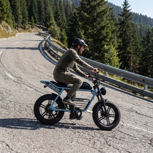 Vélo électrique longue portée à moteur sans balais avec batterie 16Ah, vélo électrique de tourisme pour les déplacements interétatiques - Product Image 5