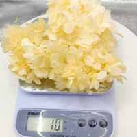 Natuurlijk geconserveerde houten hortensia's 10g doosje Echte gedroogde bloemen voor bruiloftsdecoraties, huisdecoratie, DIY bloemkunst