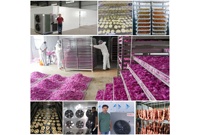 Hallo River Air Source Warmtepomp Fruitdroger Machine PLC-gestuurd CE-gecertificeerd voor Kiwi's, Persimmons en Peren
