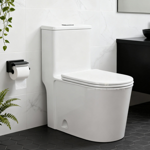<span class=keywords><strong>Modern</strong></span> Ceramic Wc <span class=keywords><strong>Toilet</strong></span> Bowl WC Commode Sanitary Ware Banheiro Dual-Flush Piso Montado Washdown One Piece <span class=keywords><strong>Toilet</strong></span> - Product Image 1