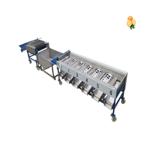 <b>Chestnut</b> Dates Tomato Sorting Machine Potato Onion Tomato Grading Machine Fruit and Vegetables Sorting Machine in India - Product Image 5