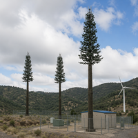 Torre de Telecomunicaciones Monopolar de Acero Angular Galvanizado en Caliente con Camuflaje de Árbol Perenne para Disimular Equipos Inalámbricos