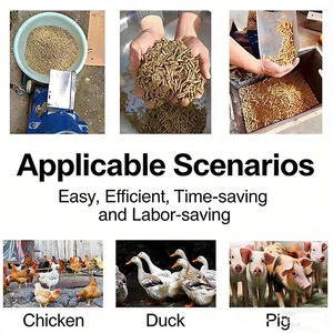 Machine à granulés et moulin à granulés de qualité supérieure avec moteur pour la production de granulés d'aliments pour animaux à partir de biomasse - Product Image 5