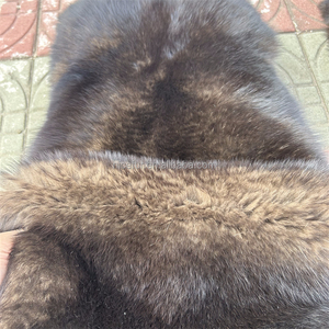 Pele De Raposa Colorida Com Cor De Pele De Sable - Product Image 1