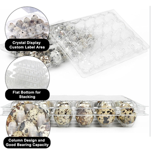 Vente en gros de 2 douzaines de barquettes à œufs de <span class=keywords><strong>caille</strong></span> en PET, barquettes à œufs de <span class=keywords><strong>caille</strong></span> de 24 œufs, fabricant de barquettes à œufs de <span class=keywords><strong>caille</strong></span> - Product Image 3