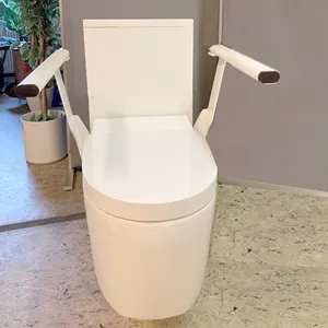 disabled toilet elevated bowl wc assist inodoro two piece closet raised seat lavabo Ceramic two Piece water closet pan
