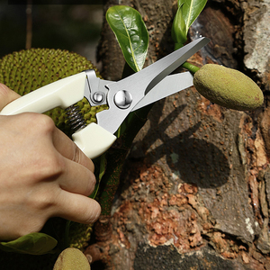 Hot Bán <span class=keywords><strong>Pruner</strong></span> Vườn Kéo Cây Pruners Thép Carbon Cao Cắt Tỉa Với Lưỡi Cong Nhà Máy Cắt Công Cụ Cắt Tỉa Kéo - Product Image 5