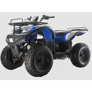 Atv 400 atv300 atv200 atv 125 atv 150 atv tamanho completo adulto atv quad bicicleta automática