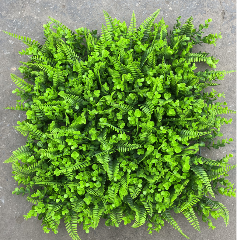 Le grand Eucalyptus Bos