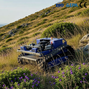Tondeuse à essence tout-terrain supérieure pour jardins ruraux australiens avec cartographie du terrain haute résolution - Product Image 1