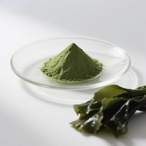Supply Pure Food Grade 99% Fresh Dehydrated <strong>Kelp</strong> <strong>Powder</strong> <strong>Kelp</strong> Extract <strong>Powder</strong> - Product Image 5