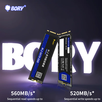 Hard Drive eksternal SSD M2 512GB 1tb Intel Sata Ssd asli baru