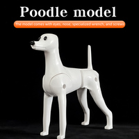 Modelo de esqueleto completo de perro Poodle estándar de poliéster para práctica de estética canina, simulación de pelaje, para estudiante de peluquería canina, gris, sencillo