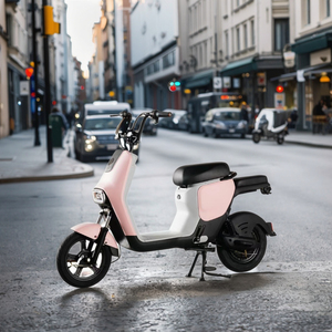 Wholesale Customized Cheap 48v 350w with Pedals Rear <b>Hub</b> Motor Scooter Bike Smart Electronic Type Saiqi-a8 Smart Controller - Product Image 6
