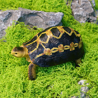 Vente chaude transfrontalière : Modèles décoratifs de reptiles et tortues en PVC massif, à assembler, sur le thème des animaux, pour aménagement paysager d'aquariums et de toiles d'araignée