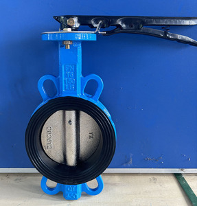 Lightweight Double Drive Manual with <b>Clamp</b> Type Handle Zero Leakage and Corrosion-Resistant Opening/Closing - Product Image 2