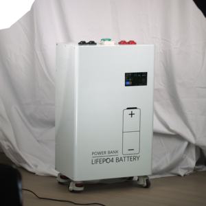 Batería LiFePO4 de 51.2V 314Ah 16kWh para Almacenamiento de Energía Doméstica, Montaje en Pared para Sistemas de Energía Solar ESS - Product Image 2