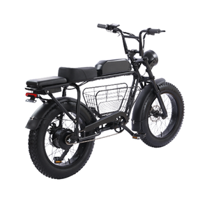 FULIKE nouveau vélo électrique à <span class=keywords><strong>2</strong></span> roues 350w gros pneu <span class=keywords><strong>Cargo</strong></span> avec frein à disque Super vélo électrique pour adulte - Product Image 4