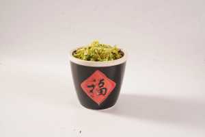 Cao cấp nướng số lượng lớn mất nước bắp cải AD khô nhanh chóng bù nước cho xào & salad - Product Image 4