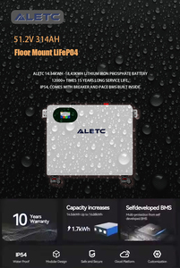 Жилой 51,2 В 314AH <span class=keywords><strong>LiFePO4</strong></span> 16,08 кВтч PACE BMS встроенный в 12000 время цикла Солнечный литиевый шкаф - Product Image 4