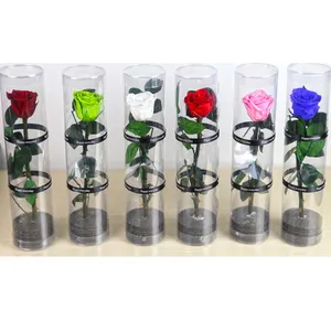 Preserved roses wholesale uk preserved rose decoration preserved roses in acrylic goft box with stems bulk