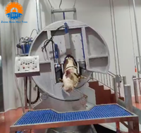 Ligne d'abattage de bovins halal clé en main, équipement de traitement des carcasses, 30 têtes/heure, équipement d'abattoir personnalisé