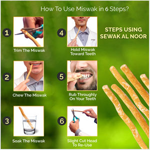Palitos de Miswak Sewak Noor de Alta Calidad, 100% Naturales, Orgánicos y Biodegradables, Paquete de 3 - Product Image 6
