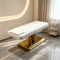 Table de massage pour soins de beauté Salon spa médical de thérapie électrique moderne de haute qualité Salon de cils Lit de thérapie de beauté inclinable