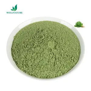 100% Pure Organic Dehydrated Dried Green Spinach Powder