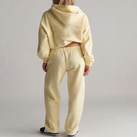Ensemble de survêtement décontracté pour femme, taille européenne, avec sweat à capuche uni respirant et pantalon de survêtement, personnalisable, en molleton de coton mélangé 350 GSM