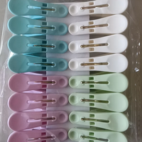 Pinces à linge en plastique pas chères, lot de 40/16/20/24/30/12 pièces, pinces à linge en plastique coupe-vent, pinces à linge pour sous-vêtements et chaussettes