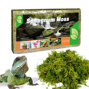 Musgo Sphagnum Seco Orgánico de Alta Calidad, Suministros Premium para Reptiles y Anfibios para la Hibernación/Escalada de Tortugas - Product Image 3