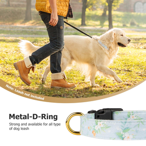 Top Sale Customized Metal Dog <b>Tag</b> Wholesale Luxury in Stock Dog Collar - Product Image 6