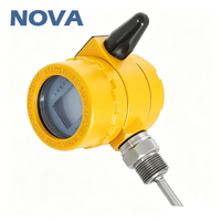 Capteur de température intelligent NOVA pour applications industrielles à haute température, type Pt1000 RTD Pt100 Pt20, transmetteur de température sans fil IoT