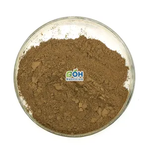 GOH Supply Herbal Supplement Ajuga Turkestanica Extract 1% 2% 10% Turkesterone Powder