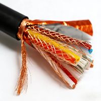 Câble blindé pour ordinateur DJYPVRP 4*2*1.0, câble de signal blindé à paires torsadées, câble pour instruments de contrôle industriel