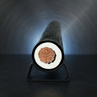 FDEHP-25 EPR Insulated LSZH Tinned Copper Braided Shield Control Cable 120 Torsion Resistant IP54 Rated Onshore Wind Turbine