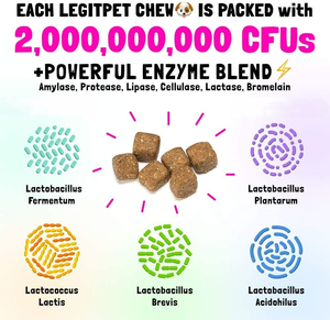 OEM-Probióticos naturales avanzados para perros con prebióticos y calabaza para perros Diarrea ocasional y soporte intestinal - Product Image 4